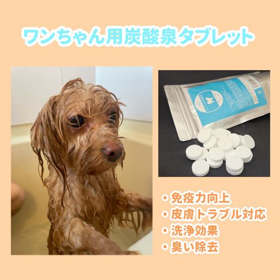 sakuLA⭐24時間以内に発送⭐！！ sakuLA⭐24時間以内に発送⭐！！ よくあるご質問｜カサクラ商店